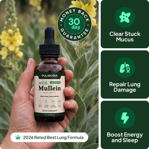 Pulmoria Mullein Drops